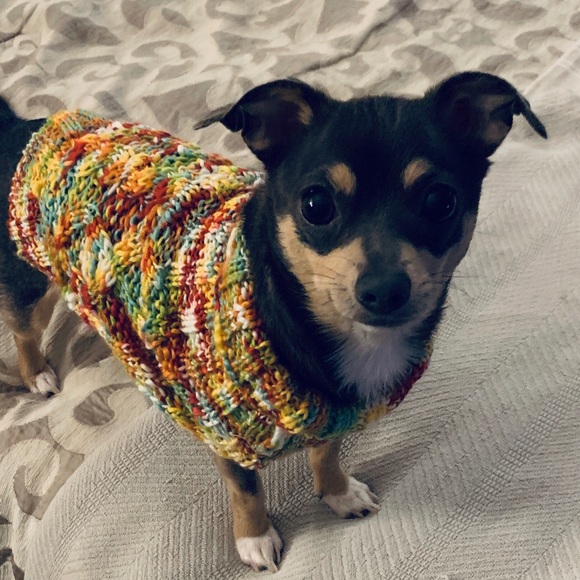 Meet your Posher, Stacy - Picture 1 of 6